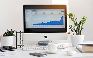 紅嬋體育開始運營！